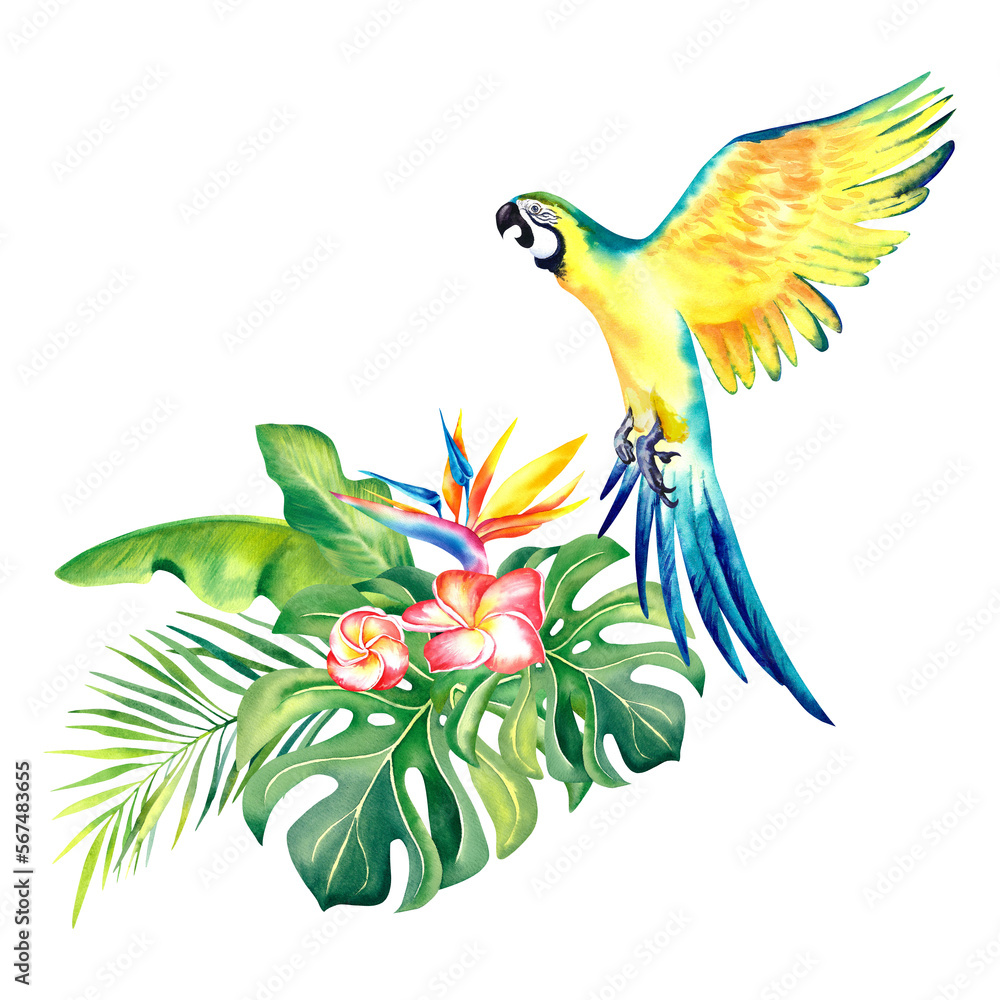 Fototapeta premium A tropical composition of palm branches and a yellow Macaw parrot. Watercolor illustration. Exotic birds. Monstera. Banana leaves. Plumeria. Strelitzia.