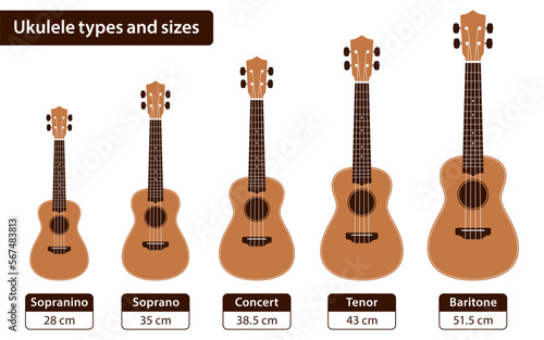 Kids and professional Ukulele sizes comparison in centimeters, flat diagram vector poster.