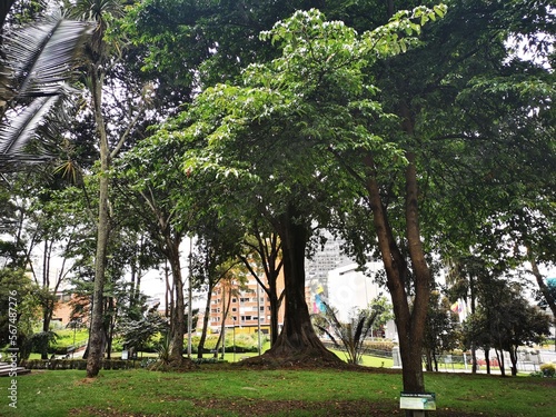 park in the park