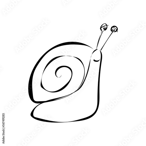 Schnecke