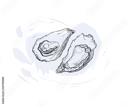 Hand drawn sketch of an oyster on a watercolor blue spots. Logo template.Vector illustration on a white background