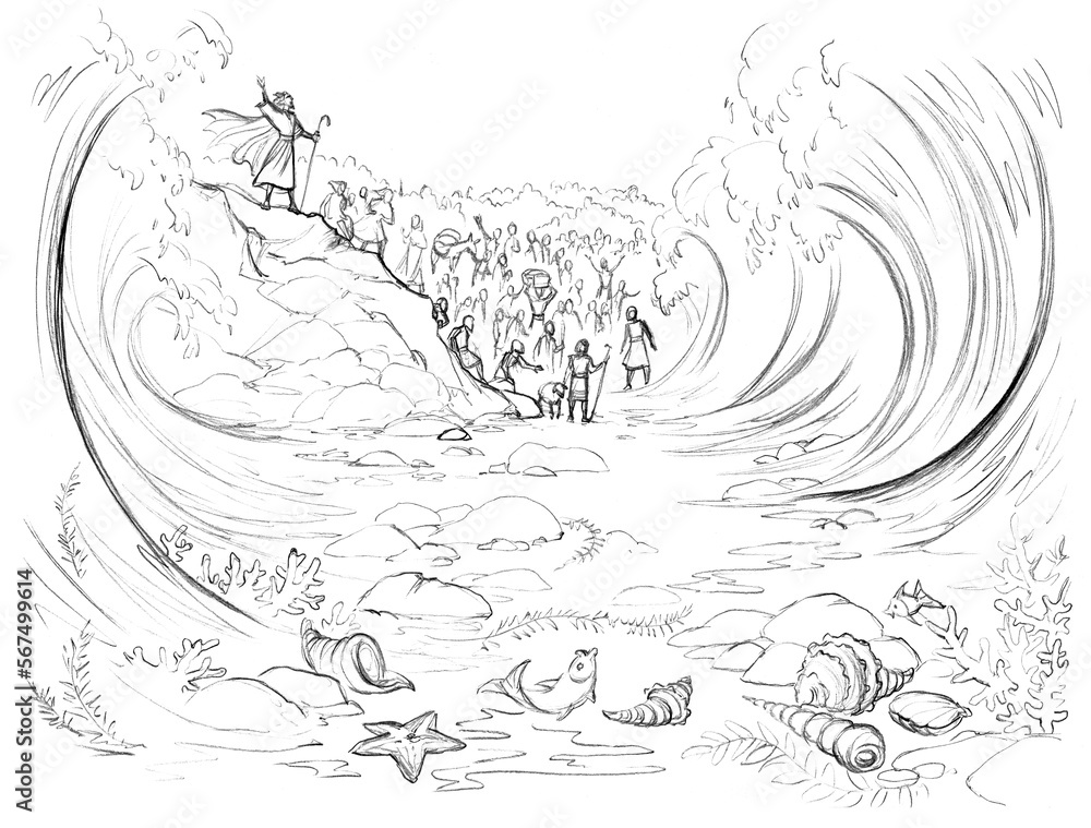 Fototapeta premium Pencil drawing. Moses leads the people across the sea
