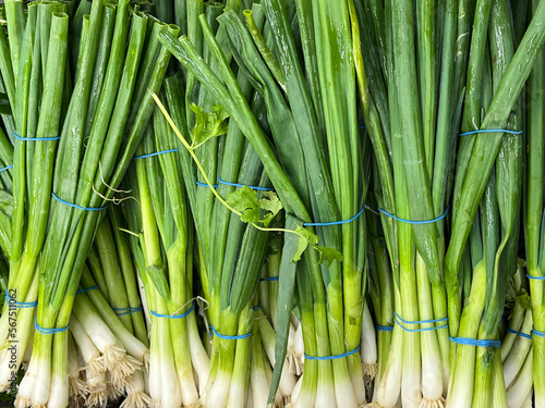 Bundles of fresh green onions
