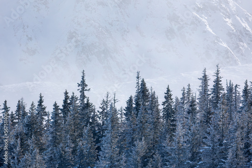 Tatry