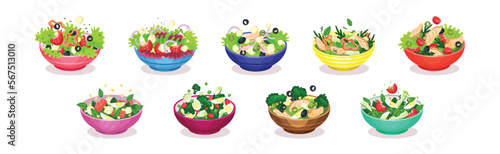 Fresh Salads in Bowl with Green Vegetables and Meat Vector Set