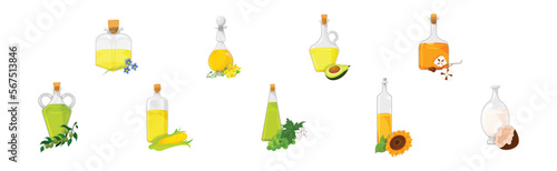 Organic Vegetable Oil Poured in Glass Jars Vector Set