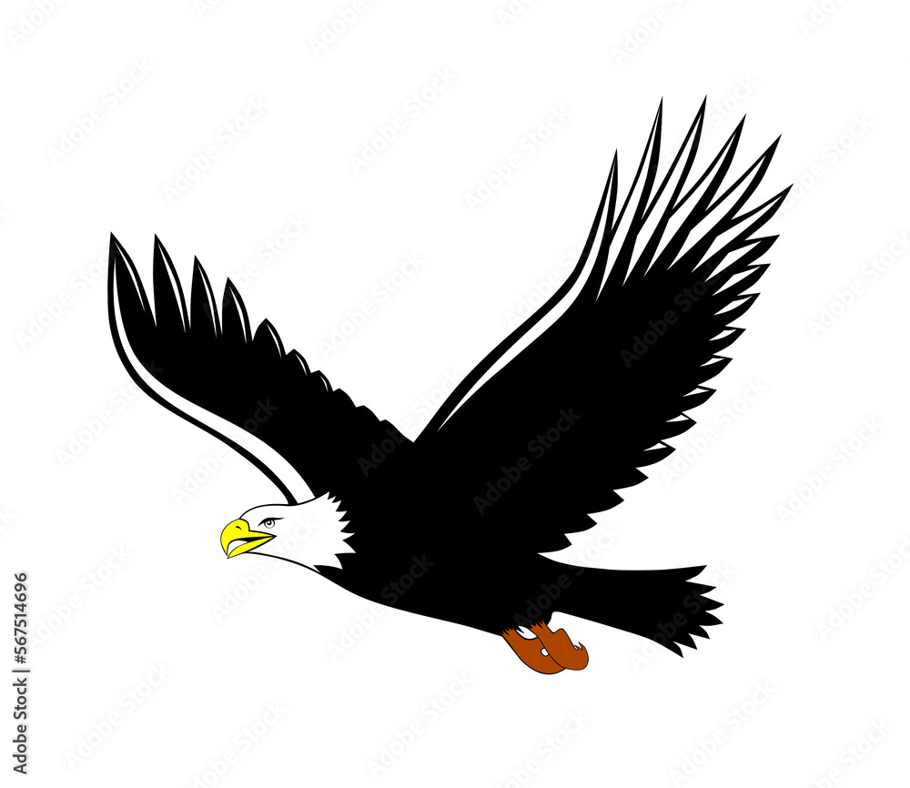 Fototapeta premium eagle in flight on line art style - illustration
