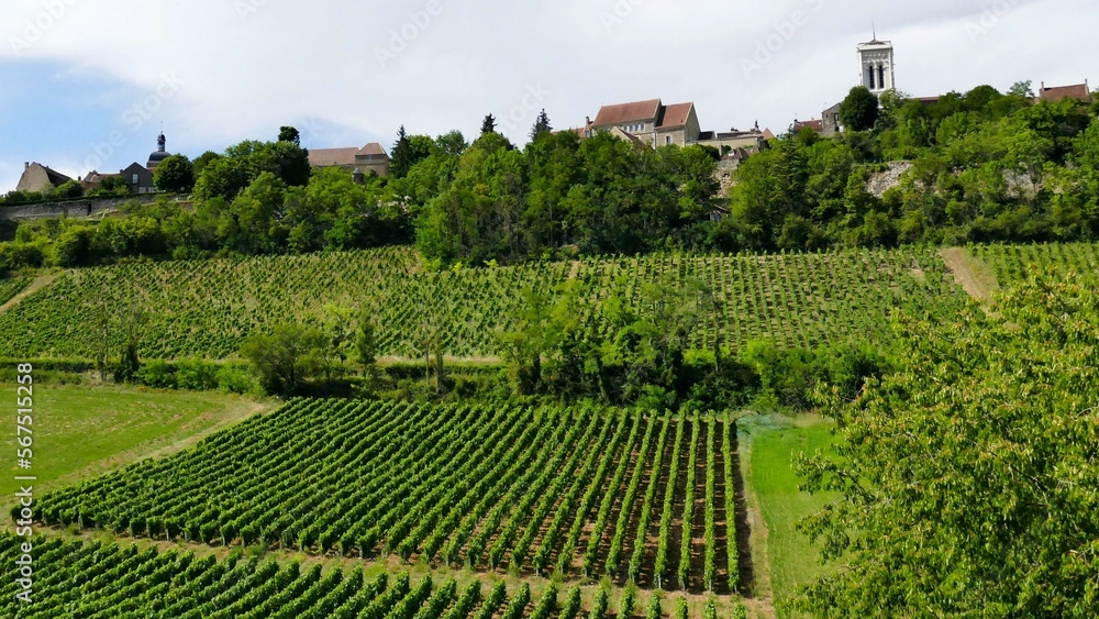 Le vignoble en contre-bas de la ville de Vézelay