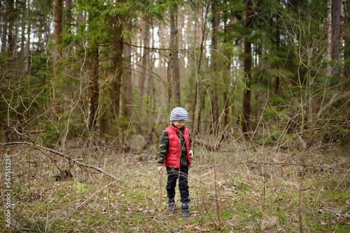 Little boy in red vest is playing with big branch and having fun in forest on early spring day. Activity for children. Outdoor recreation for family