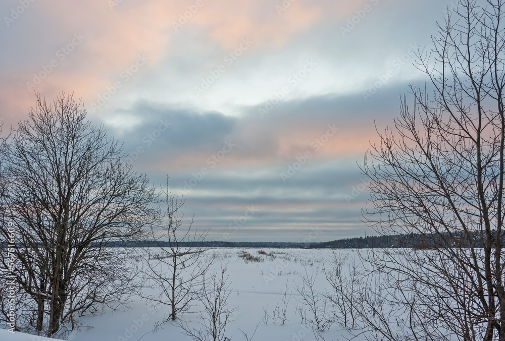 Winter February landscape with a field covered with snow Winter February landscape with a field covered with snow