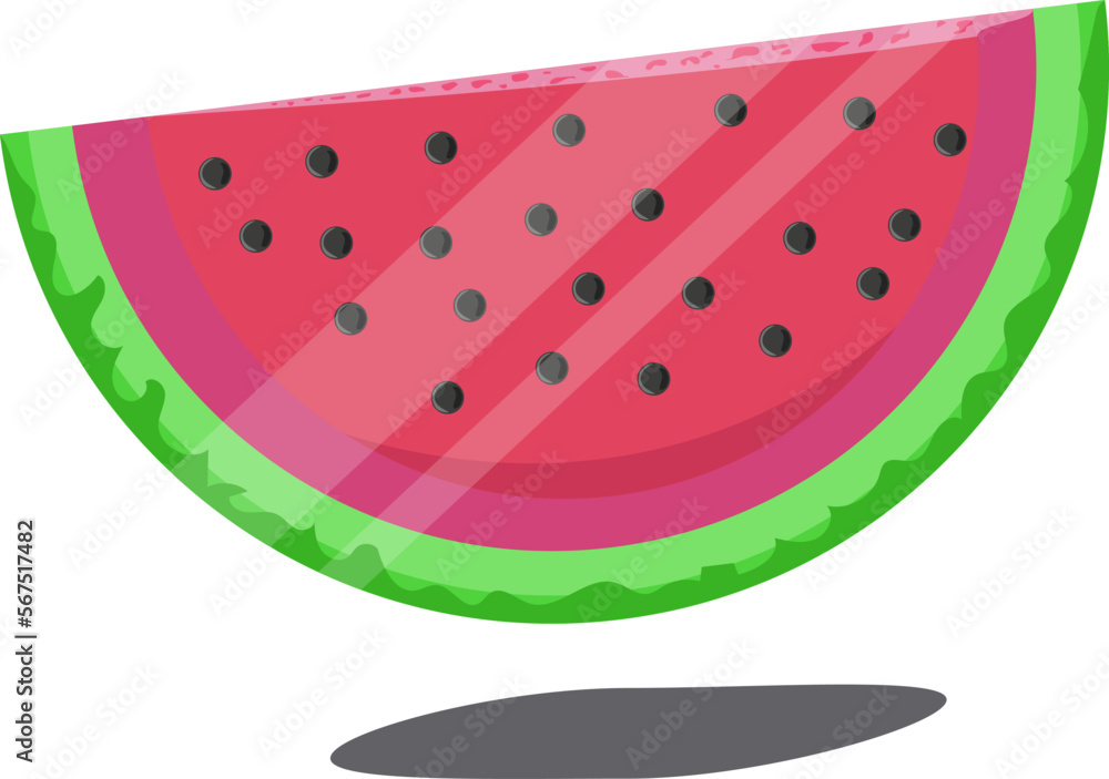 watermelon vector illustration watermelon vector illustration