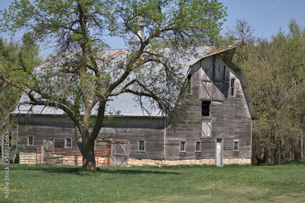 Obraz premium Disappearing from our Landscape