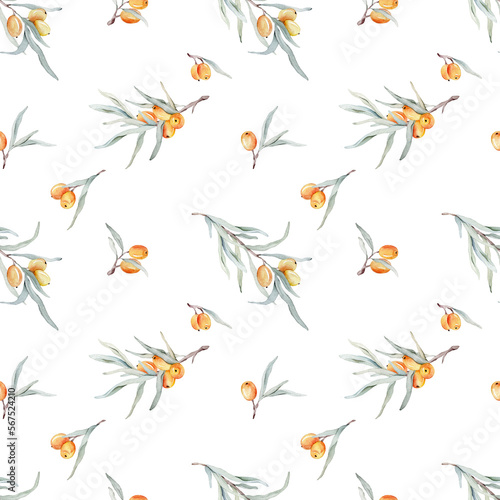 Pattern with orange sea buckthorn. Sea buckthorn for healthy life and design background. Hand painted. Botanical natural. Seamless pattern  an illustration for postcards  posters  textile design.