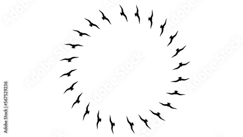 Black birds circled on white background