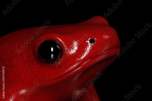 3d render of a Splendid Frog(Oophaga Sepciosa) an extinct species from Panama, Central America. 
It was a poisonous frog from the Panamanian rainforest.
Close-up of the eyes
 photo