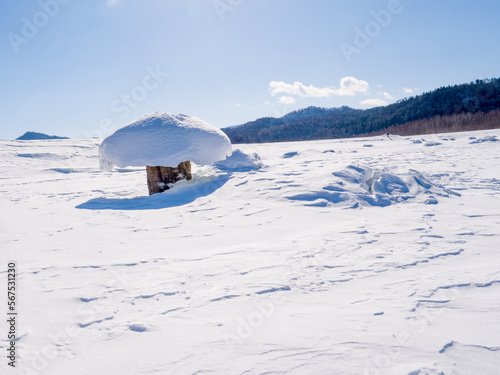 冬の糠平湖のキノコ氷（北海道河東郡上士幌町） © 鞘貴 本真