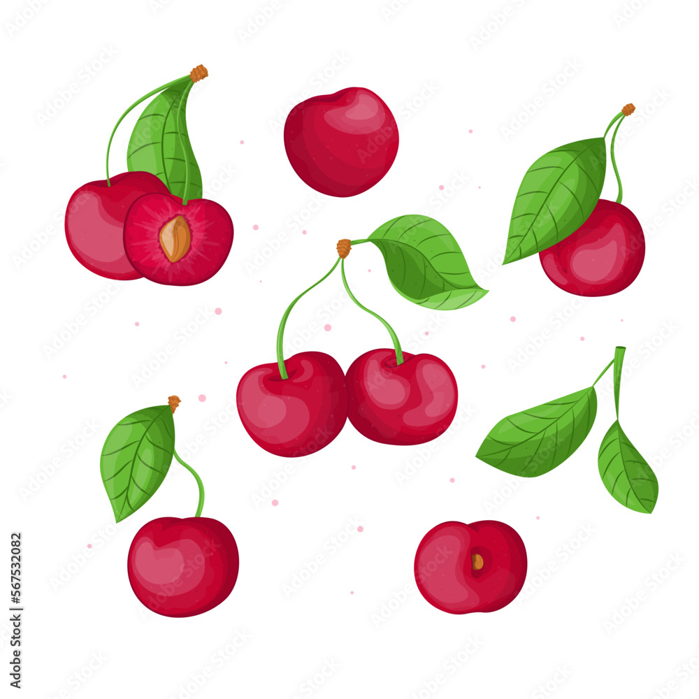 illustration of cherry isolated on white background, cherry with leaves, half cherry, piece of cherry isolated illustration of cherry isolated on white background, cherry with leaves, half cherry, piece of cherry isolated