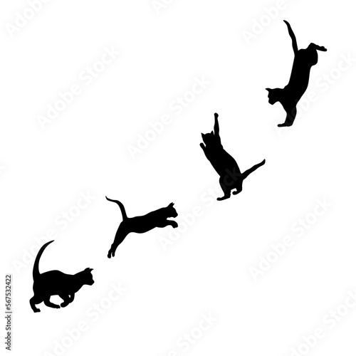 Cats in different moving positions vector illustration 