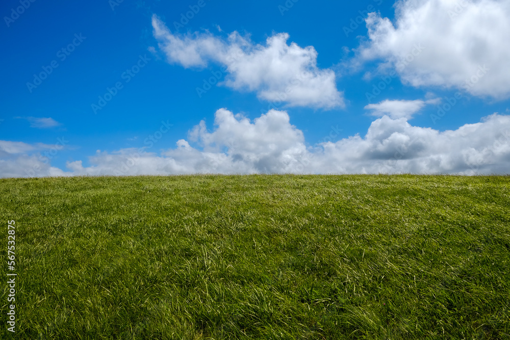 green field and blue sky
