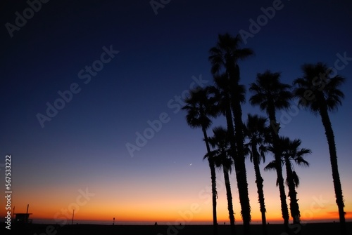 Blue purple sky at sunset with silhouettes of palm trees and a lifeguard tower facing the Pacific ocean in Santa Monica Beach, Los Angeles, California