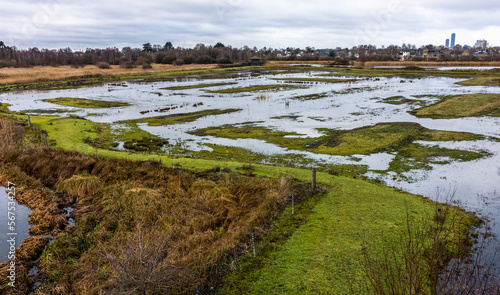 Canvas Print London Wetland  centre, a wetland nature reserve in Barnes