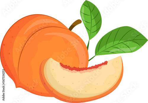  illustration of peach isolated on white background, peach with leaves, half of peach, piece of peach isolated