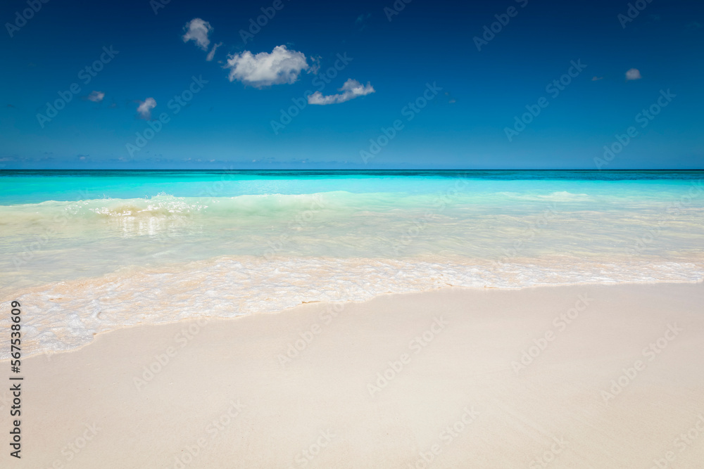 Tropical paradise, sand beach in caribbean Saona Island, Punta Cana, Dominican