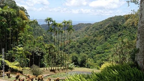 Jardin de Batala Martinique