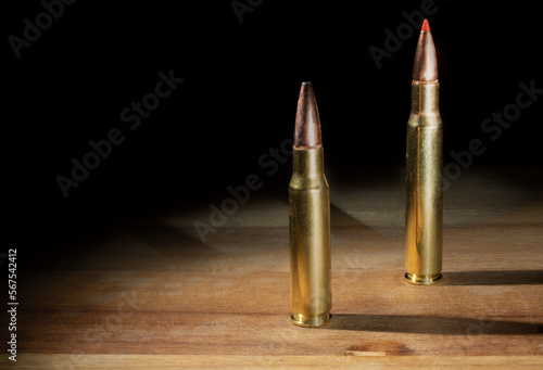 30-06 and 308 ammo