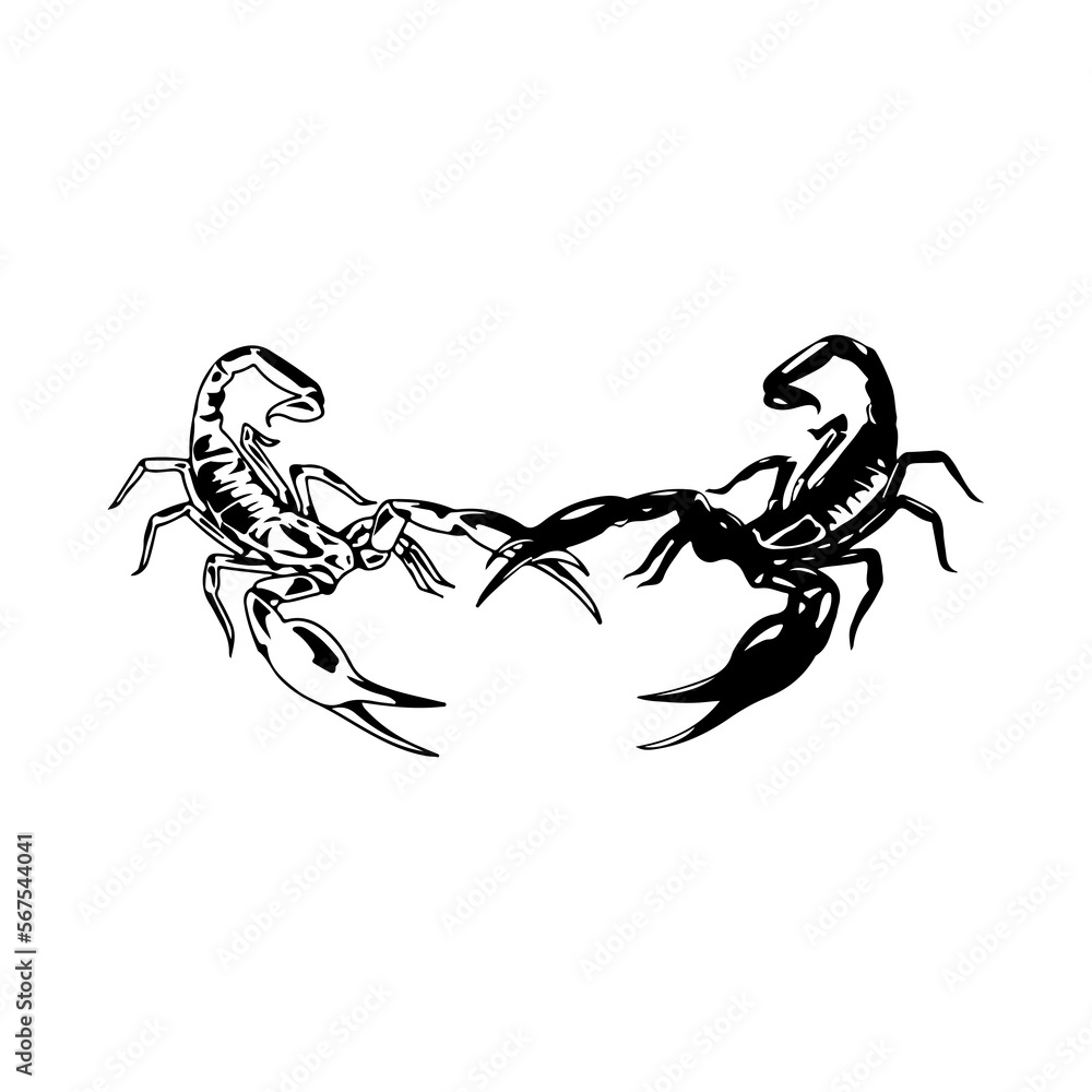 vector illustration of two scorpions vector illustration of two scorpions