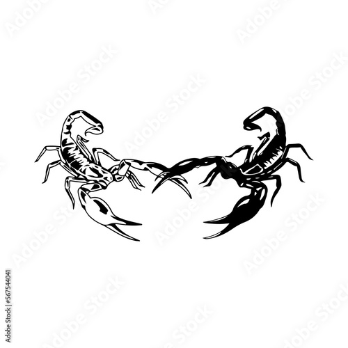 vector illustration of two scorpions