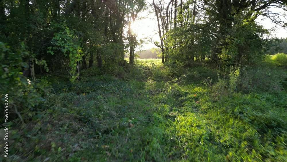 Langsame Schweben durch einen Wald, über ein Feld der Sonne entgegen Langsame Schweben durch einen Wald, über ein Feld der Sonne entgegen