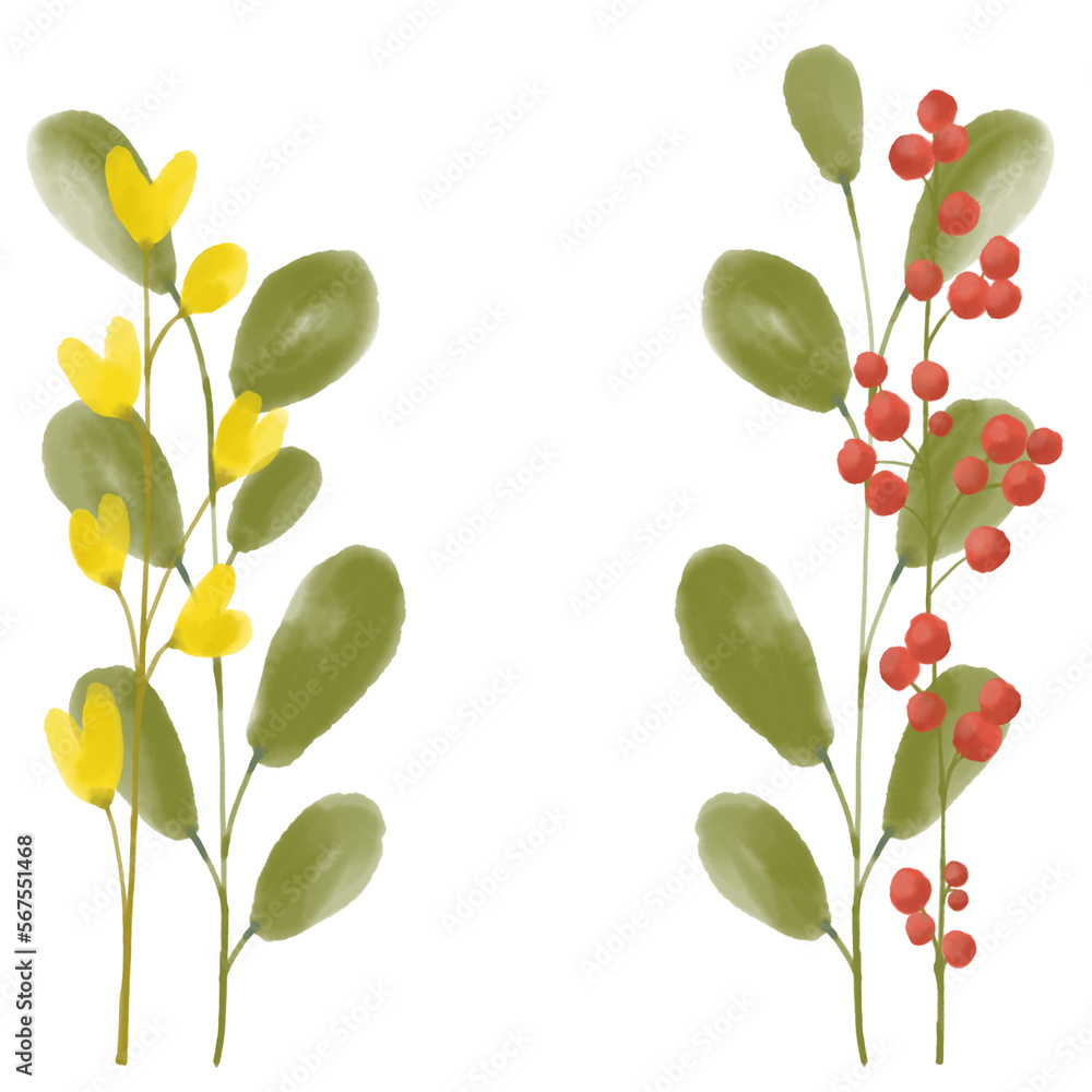 Berries, flowers and leaves, digital watercolor