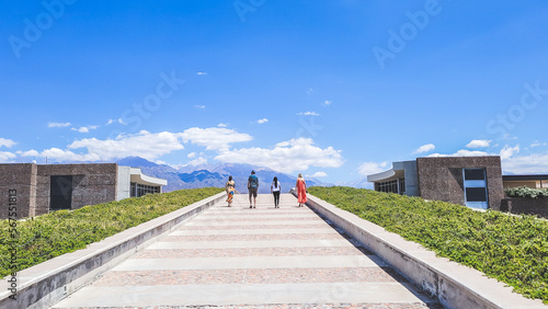 viñedos, montañas en Mendoza