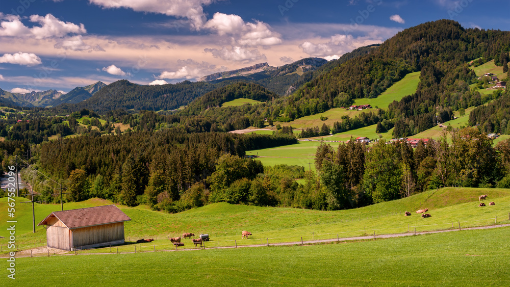 Alpine pasture landscape, Bavaria Germany