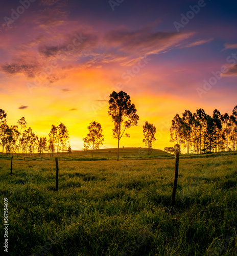 Sunset with trees in the background, red sky in the countryside with trees