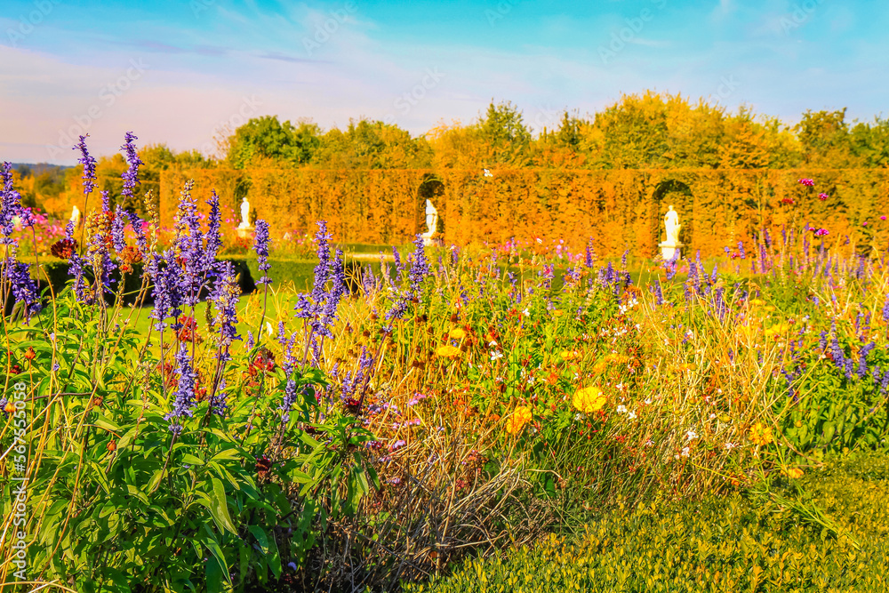 Autumn foliage colors in Paris public park, France