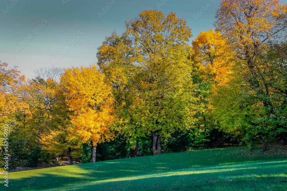 Autumn foliage colors in Vienna public park, Austria