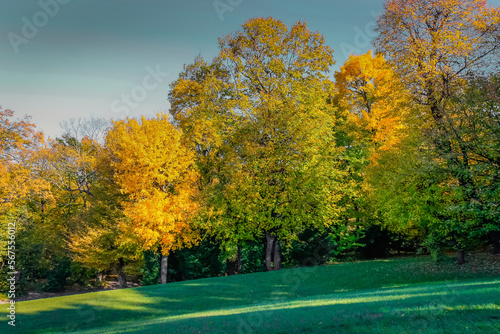 Obraz na płótnie Autumn foliage colors in Vienna public park, Austria w salonie