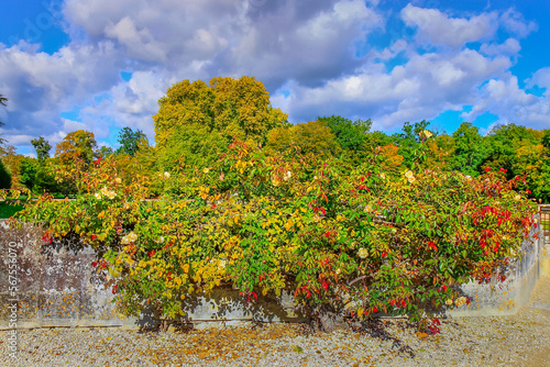 Autumn foliage colors in Loire valley public park with garden, France