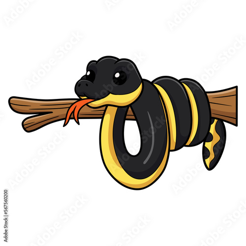 Cute yellow bellied sea snake cartoon on tree branch photo