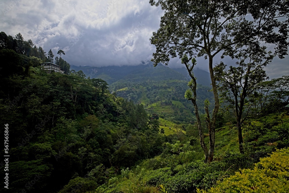 View from Ramboda Falls Hotel, Sri Lanka