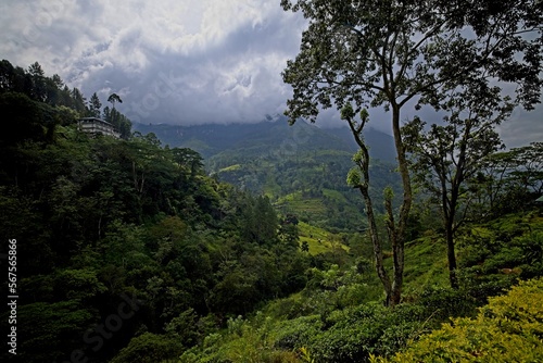 View from Ramboda Falls Hotel, Sri Lanka © Miroslav