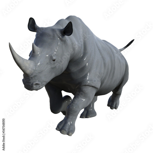 rhino isolated on white