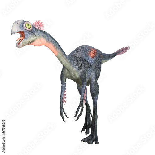 Gigantoraptor dinosaur isolated 3d render © Blueinthesky