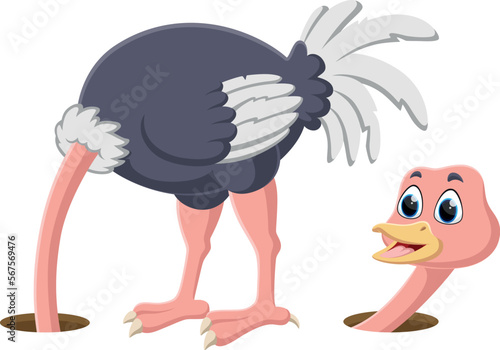 Ostrich hiding its head in the hole
