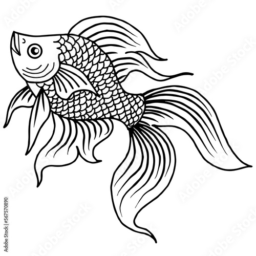 design illustration outline asian gold fish