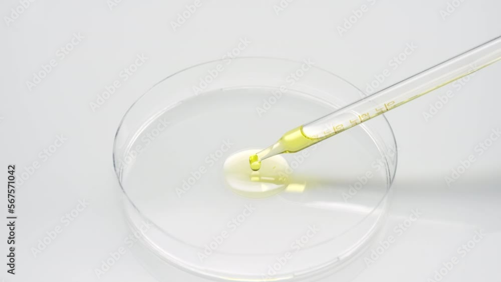Extreme close-up crane shot of yellow liquid is dripping from long chemical dropper into petri dish on grey background | Abstract skincare cosmetics formulation concept Extreme close-up crane shot of yellow liquid is dripping from long chemical dropper into petri dish on grey background | Abstract skincare cosmetics formulation concept