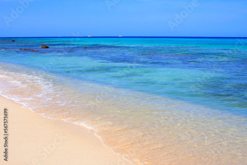 Obraz na płótnie Secluded turquoise beach in Aruba, Caribbean Blue sea, Duth Antilles w salonie
