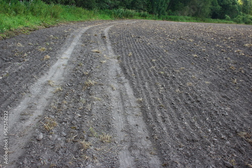 Gray soil on a plowed field - the location of the ancient settlement
